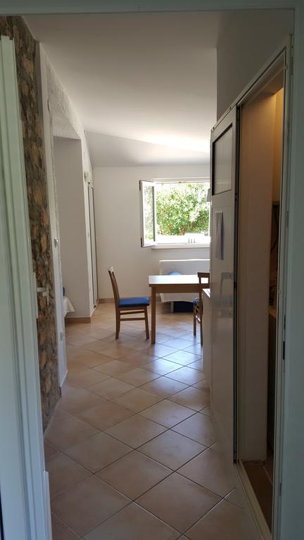 Studio Apartment Bosko Novalja Exterior photo